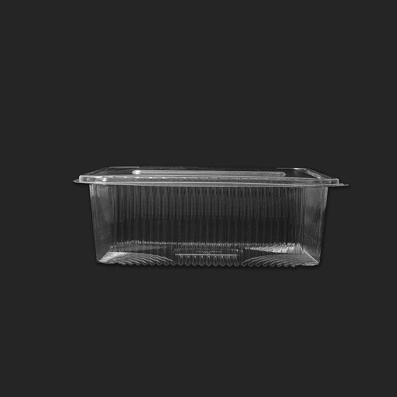 Oracle Cookie Container Box 7.5*5.5*3 inch 750ml
