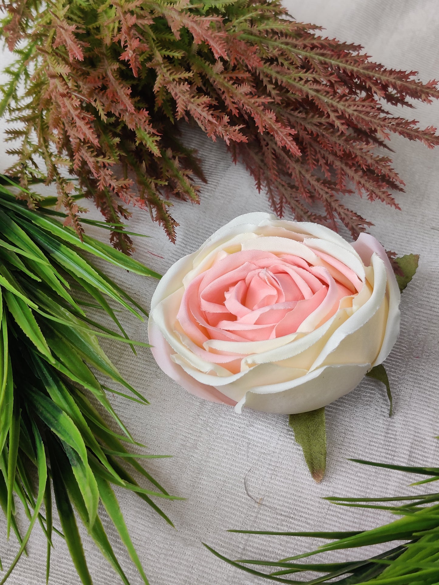 ROSE white pink Premium Code-EB13
