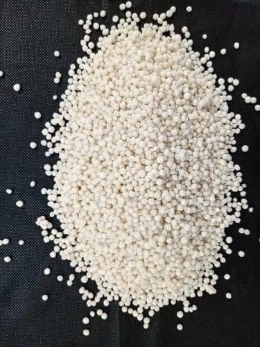 Rice Crispy
