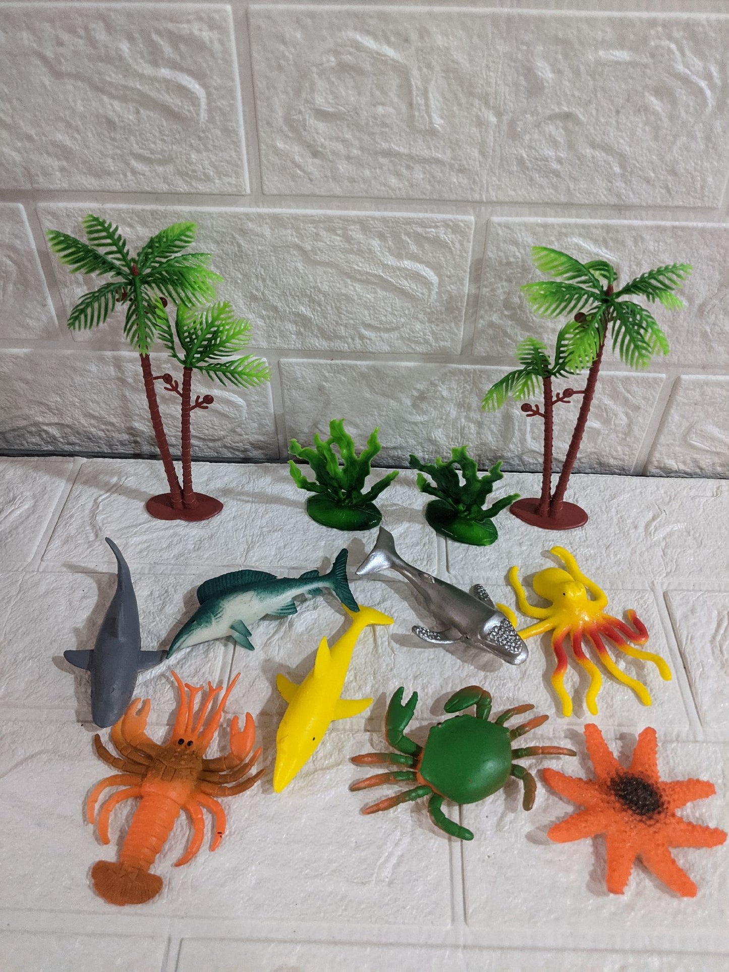 Aquatic Animal
Pack of 12