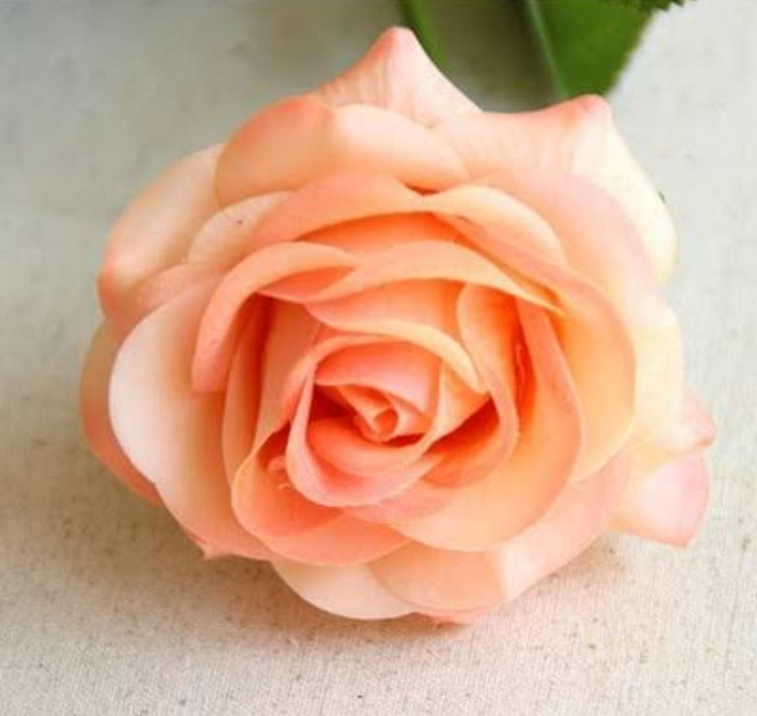 Artificial Rose Flower
