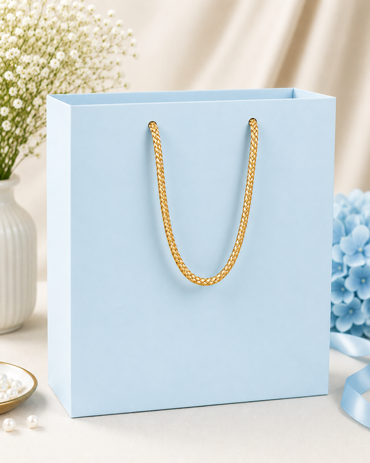 Elegant Rope Handle Gift Bag pack of 10 (blue colour)