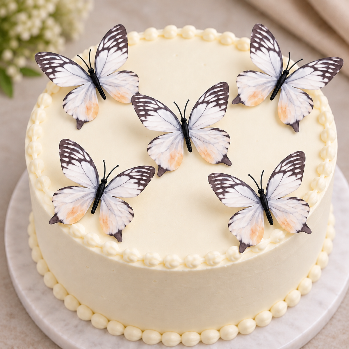 White & Black Butterfly Set of 5