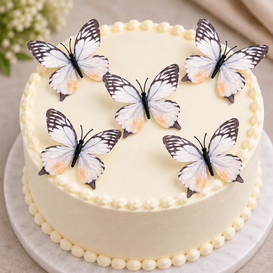 White & Black Butterfly Set of 5