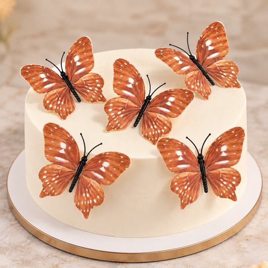 Brawn Terracotta Butterfly Set of 5