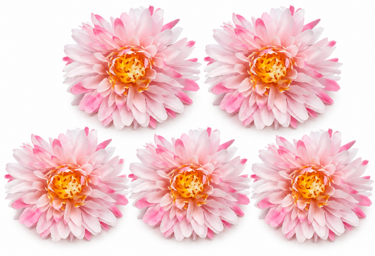Artificial Baby Pink Dalia Flowers Pack of 5