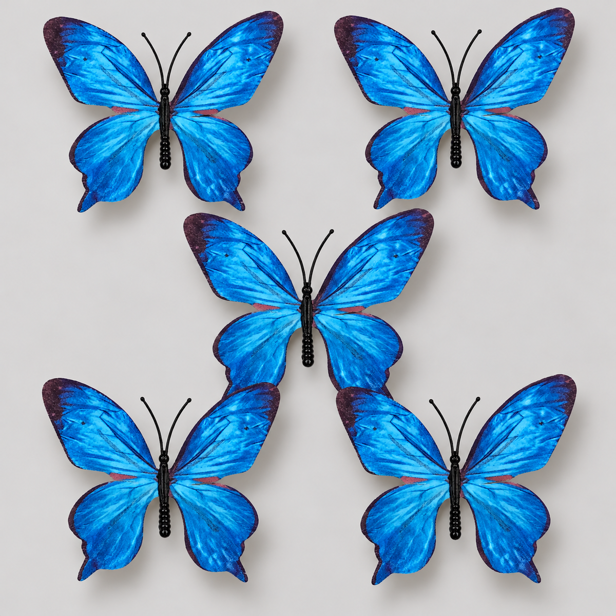 Navy Blue Butterfly Set Of 5