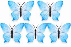 Sky Blue Butterfly Set of 5