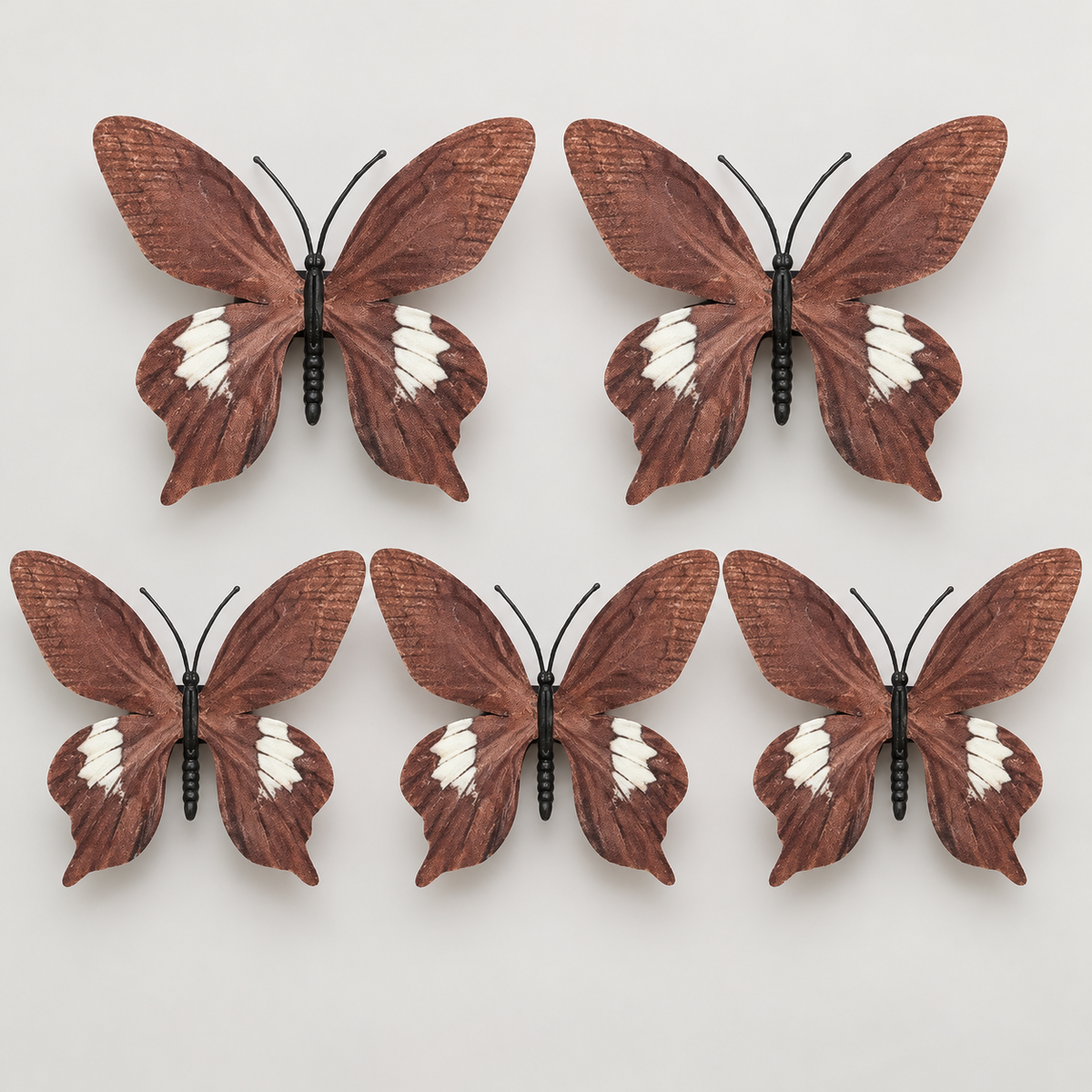 Brown Butterfly Set Of 5