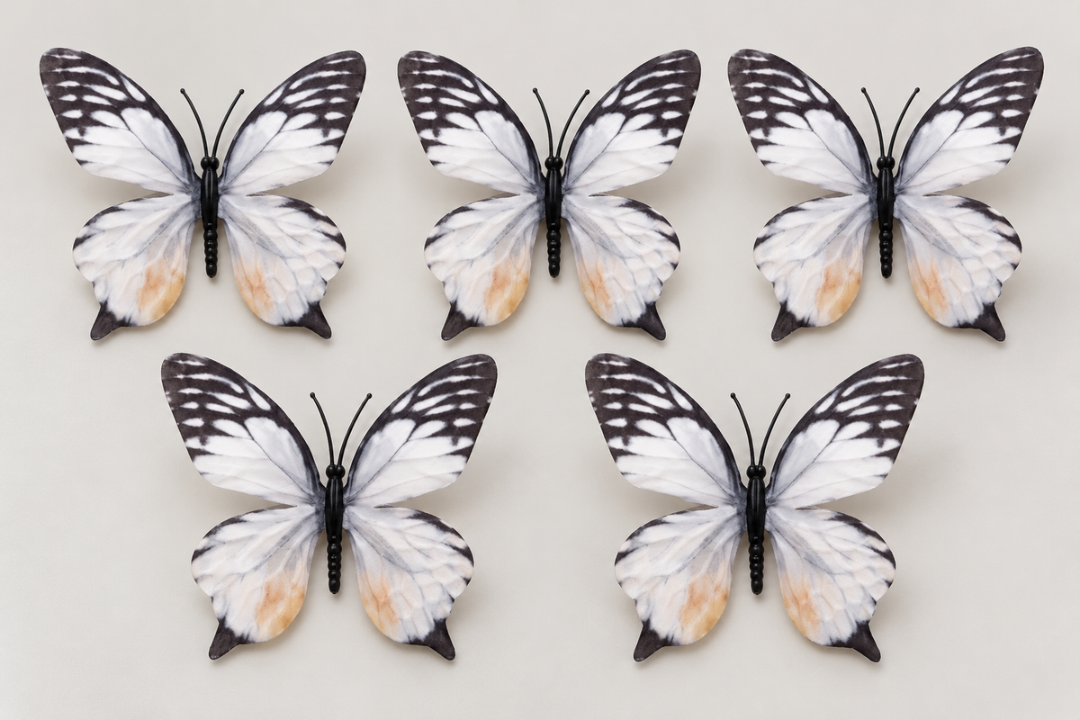 White & Black Butterfly Set of 5