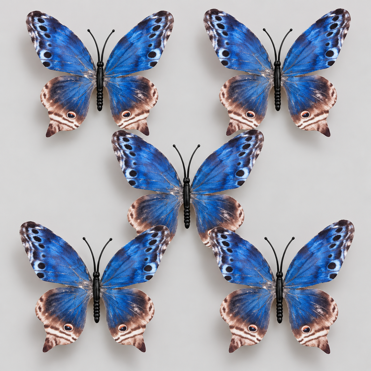 Navy blue Butterfly Set Of 5