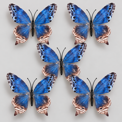Navy blue Butterfly Set Of 5