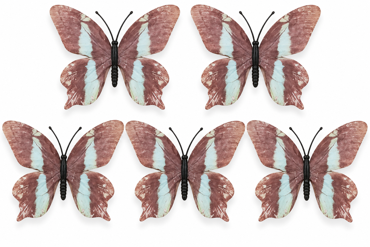 Brown & White Butterfly Set Of 5