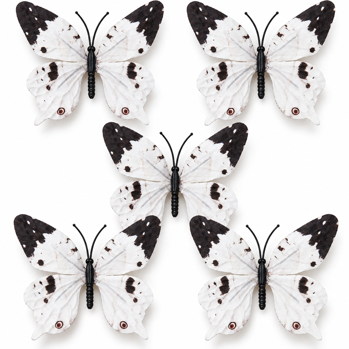 White With Black Design Butterfly Set of 5