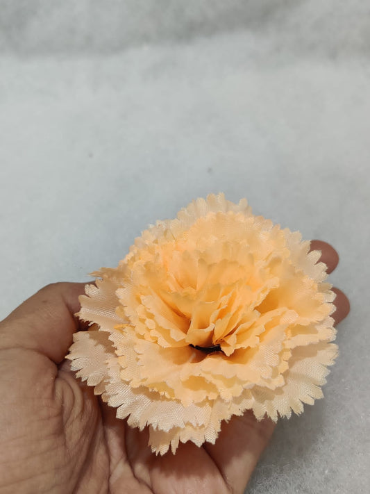 Peach Carnation Flower