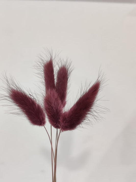 Bunny Tails Wine Colour Pack of 5