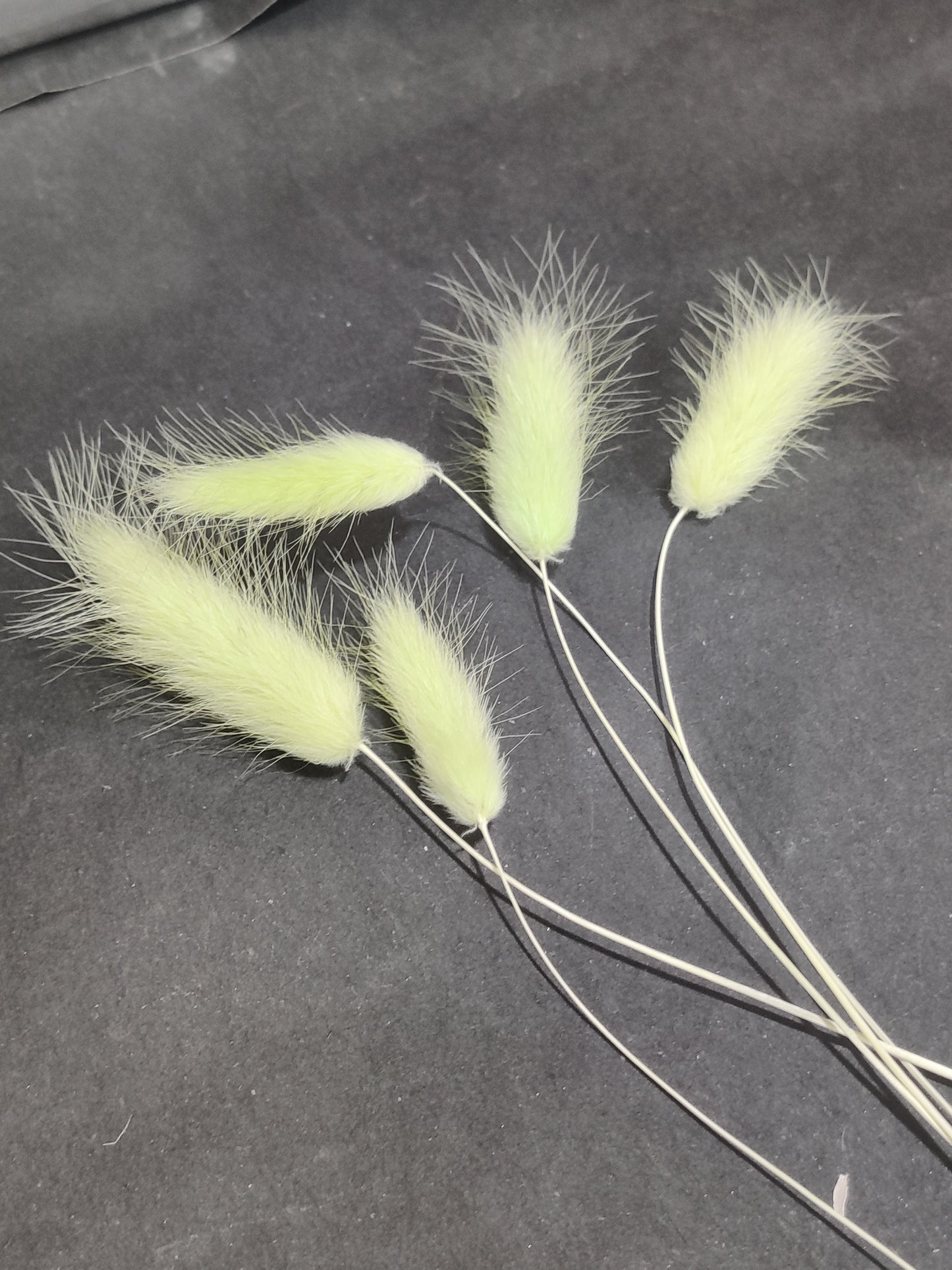 Pastel green bunny tail pack of 5