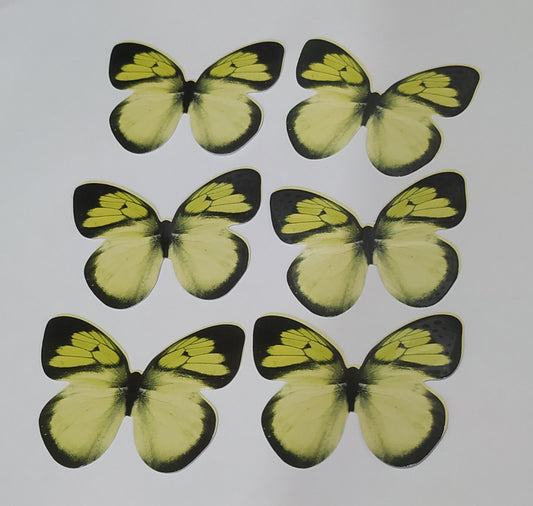 Butterfly Pack Of10 Rendom