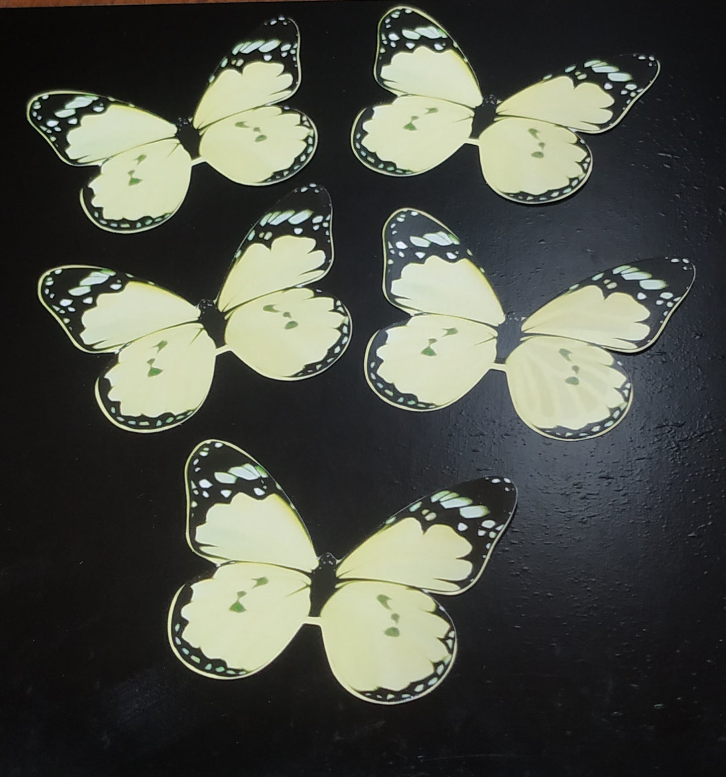 Butterfly Pack Of10 Rendom