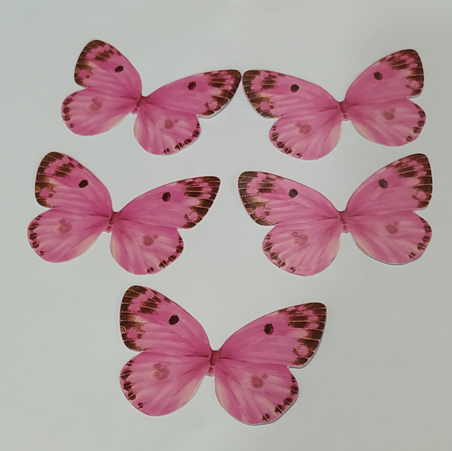 Butterfly Pack Of10 Rendom