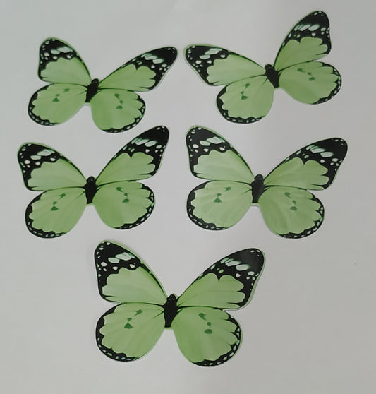 Butterfly Pack Of10 Rendom