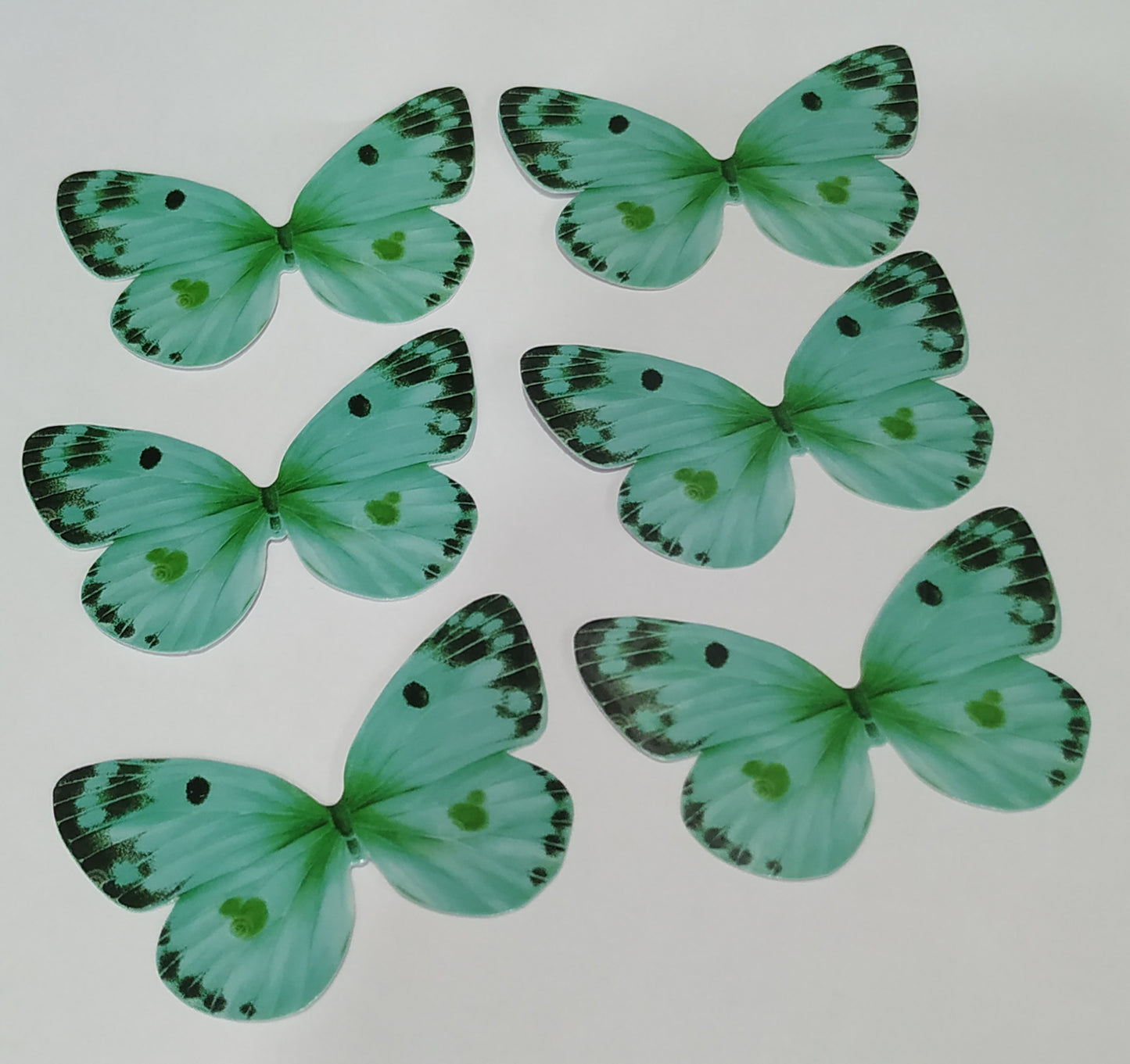 Butterfly Pack of10 Rendom