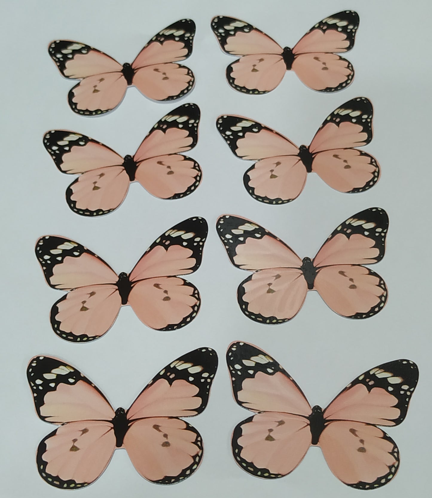 Butterfly Pack Of10 Rendom