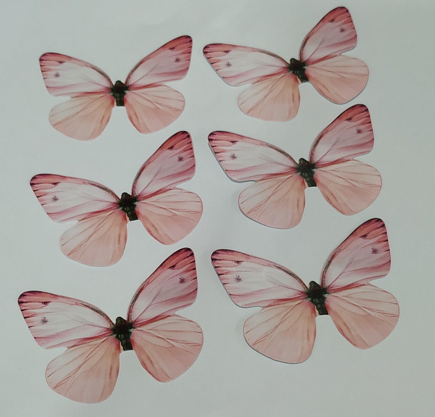 Butterfly Pack Of10 Rendom