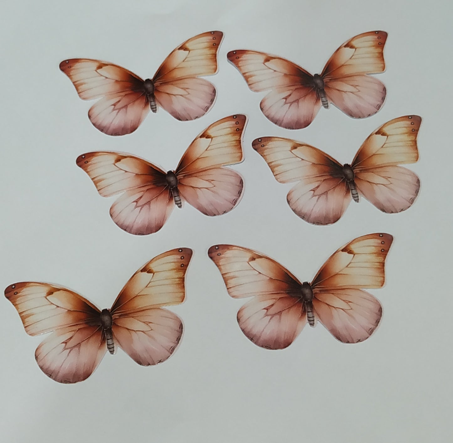 Butterfly Pack Of10 Rendom