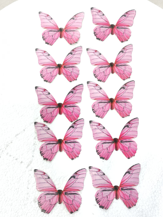 Butterfly Pack of 10