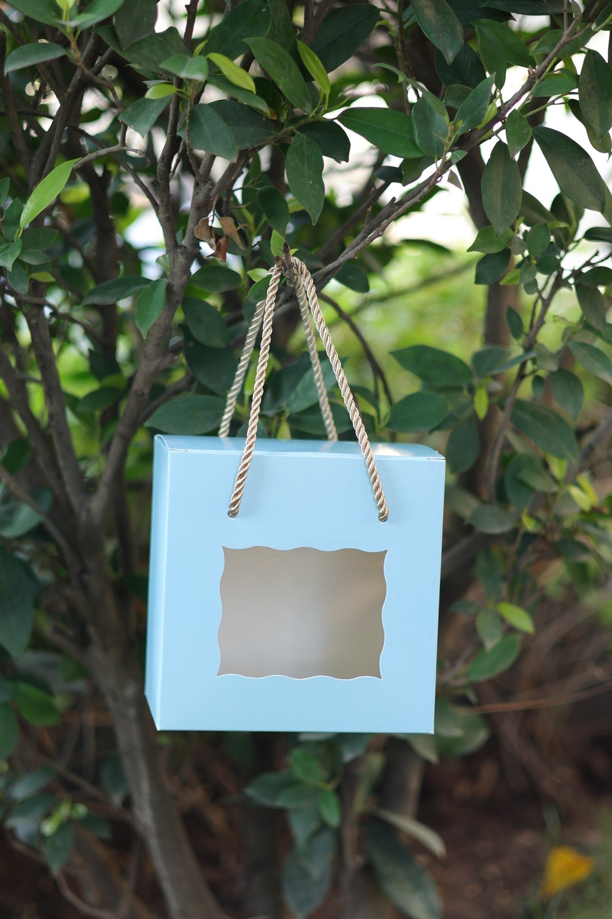 Window Gift Box 6x6x4