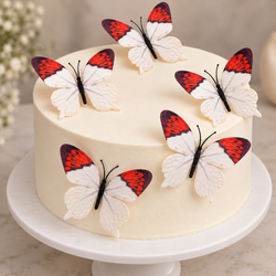 White Butterfly Set Of 5