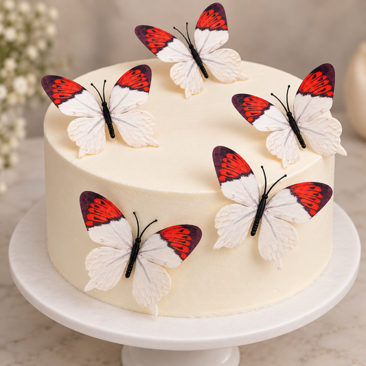 White Butterfly Set Of 5