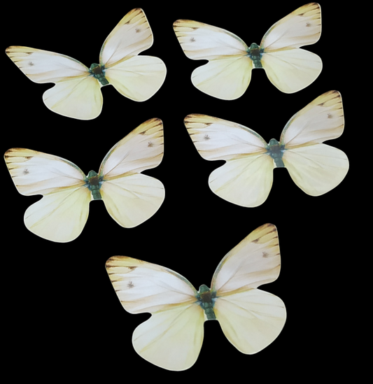 Butterfly Pack of10 Rendom