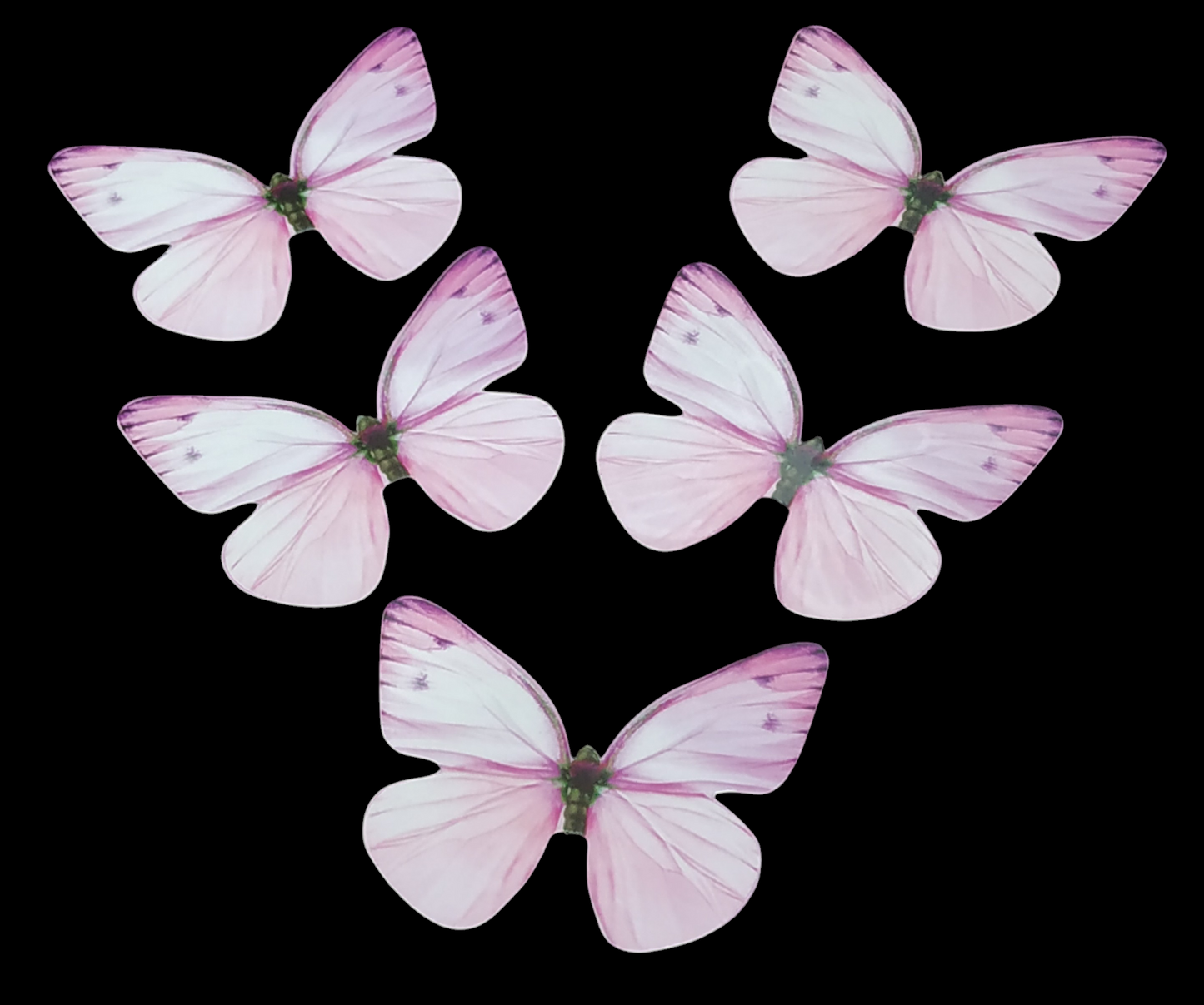 Butterfly Pack Of10 Rendom