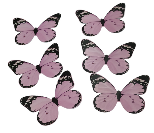 Butterfly Pack Of10 Rendom