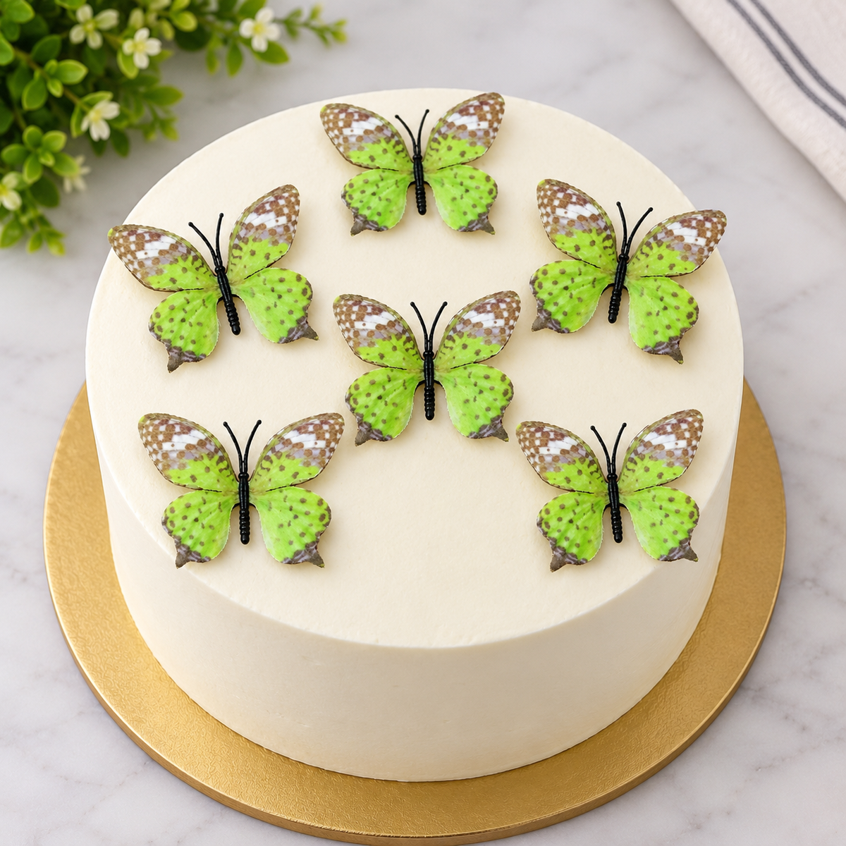 Green Butterfly Set Of 5