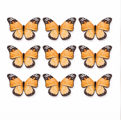 Orange Butterfly Pack Of 10
