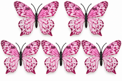 Pink Butterfly Set of 5