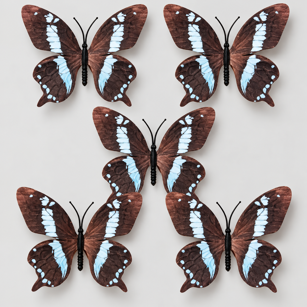 Brown & White Butterfly Set Of 5