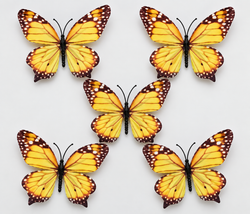 Yellow Butterfly Set of 5