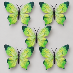 Green Butterfly Set Of 5