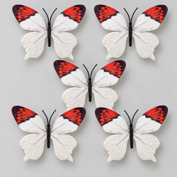 White Butterfly Set Of 5