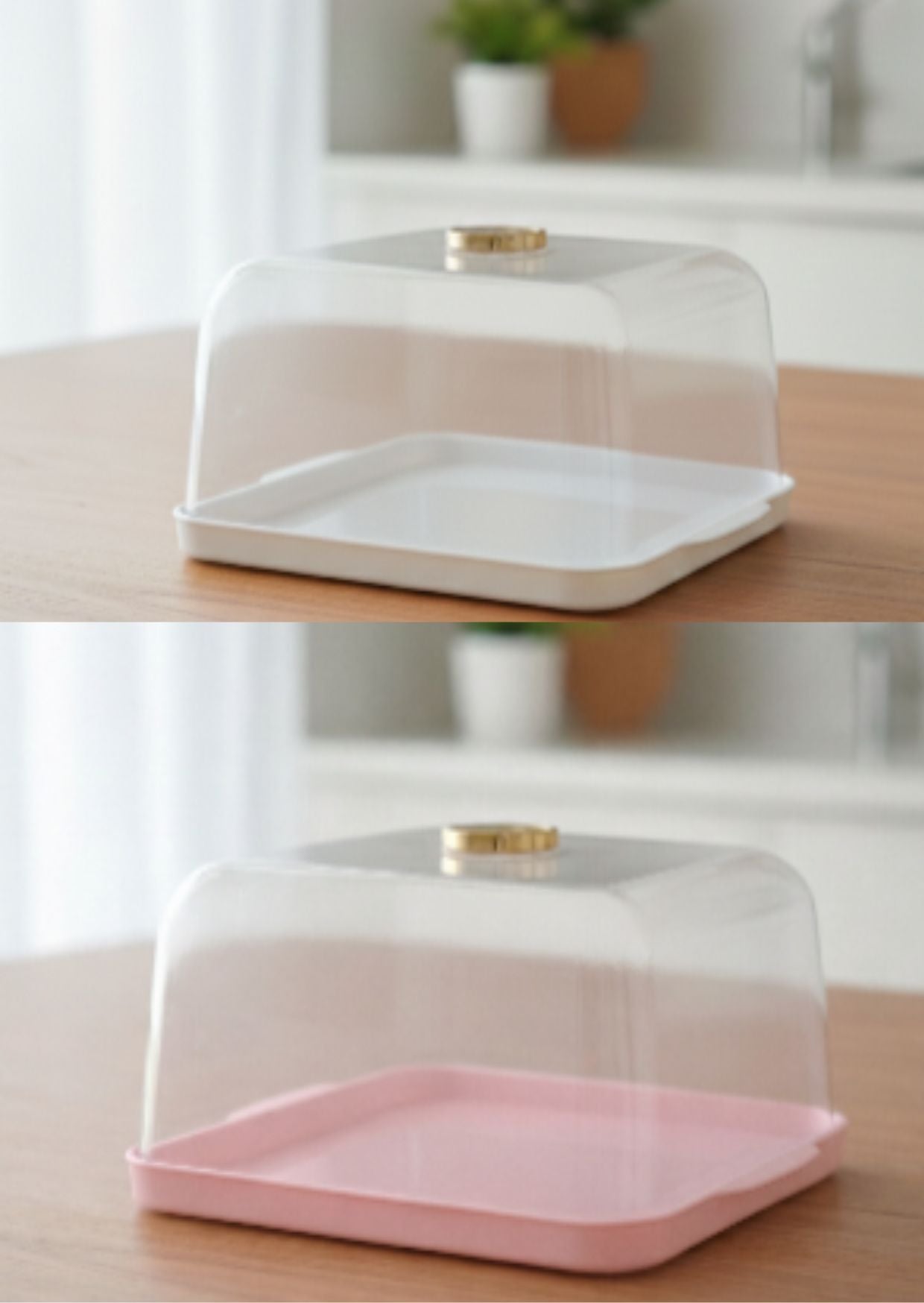 square display cake tray with lid (size - 5*3)(random colour)