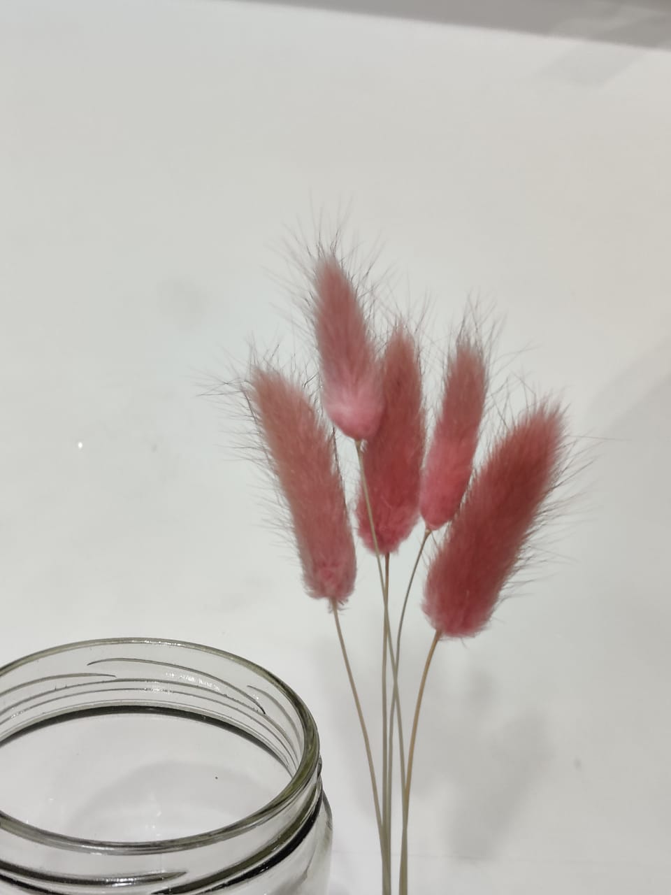 Bunny Tails Pink colour pack of 5