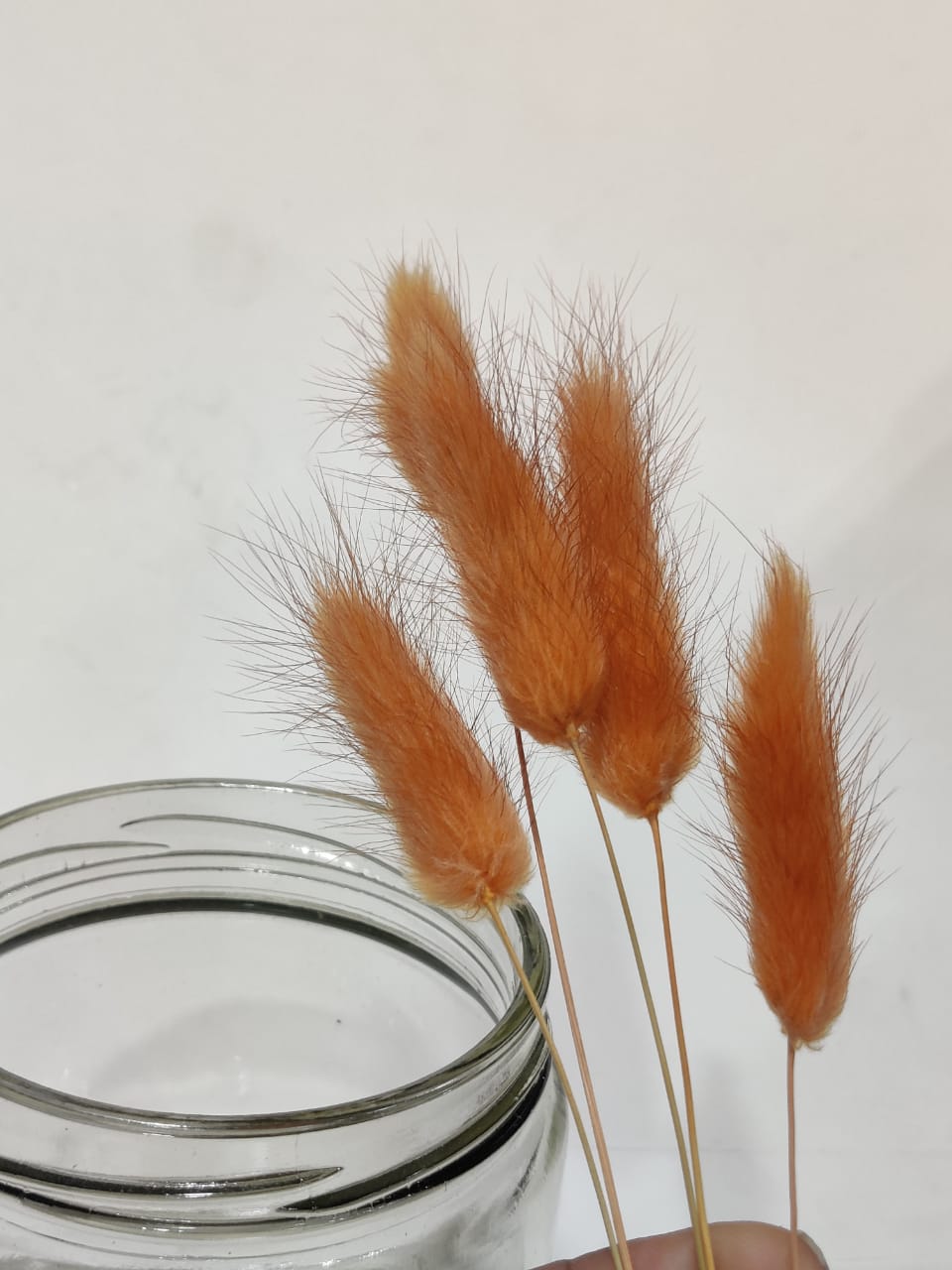 Bunny Tails Orange Colour Pack of 5