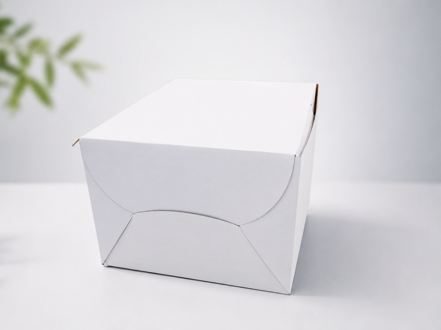 Cake Box size - 14x14x10 inch