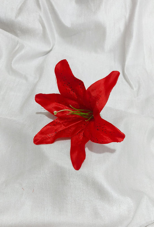 Big Red Lily Flower