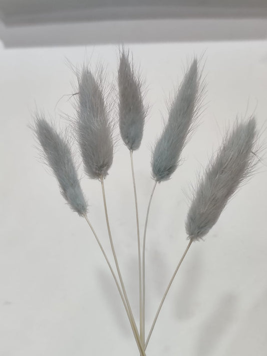 Bunny Tails  Grey colour Pack of 5