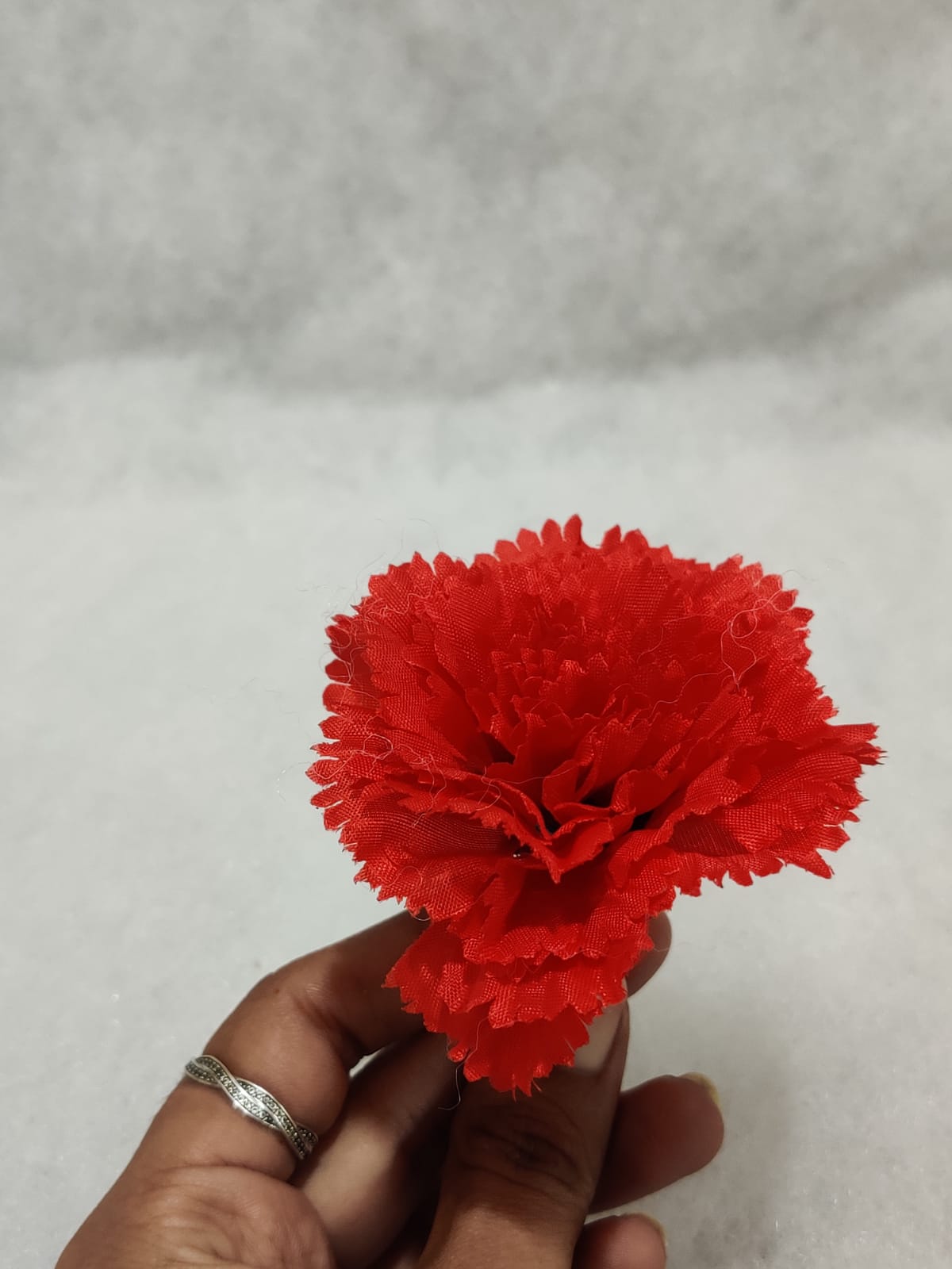 Red Carnation Flower